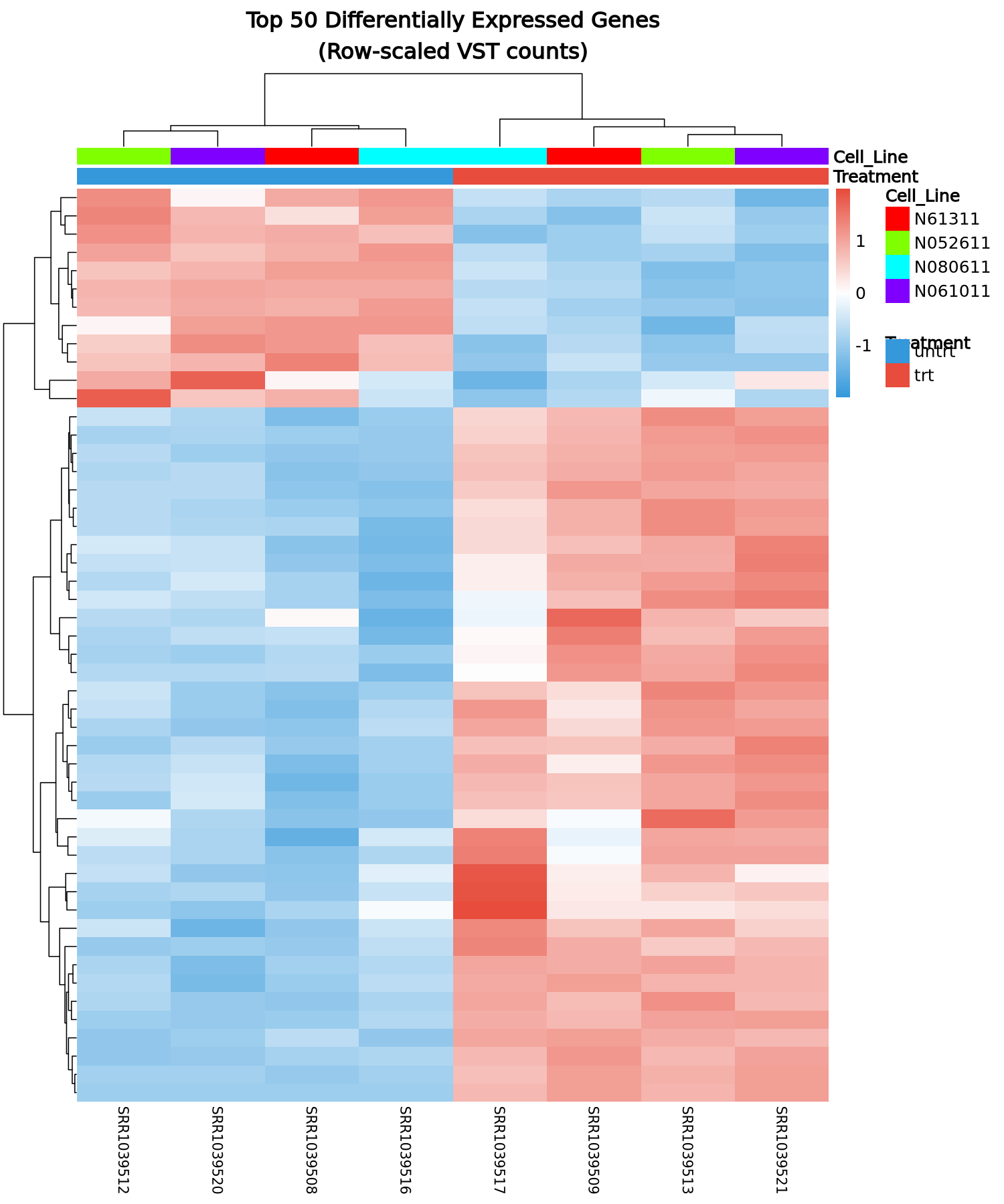 Heatmap of the top differentially expressed genes after dexamethasone treatment