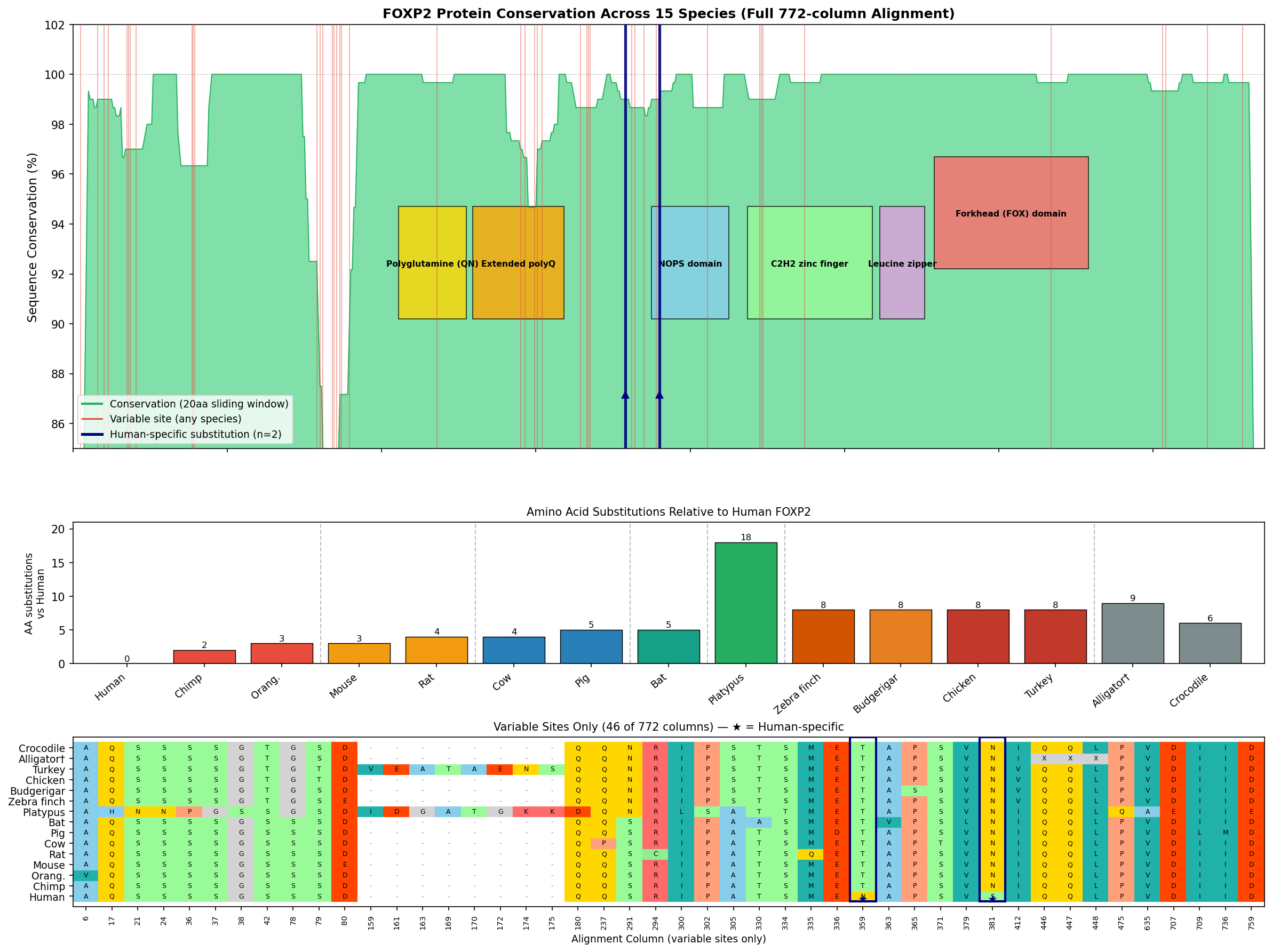 FOXP2 per-position conservation, variable sites, and identity-to-human summary