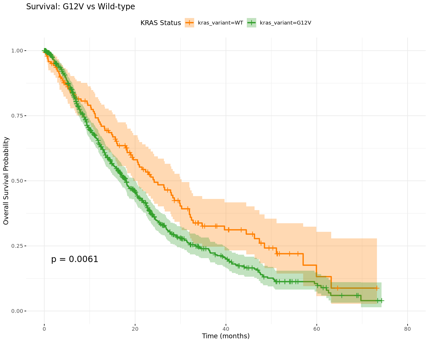 Kaplan-Meier comparison of KRAS G12R and wild-type PDAC