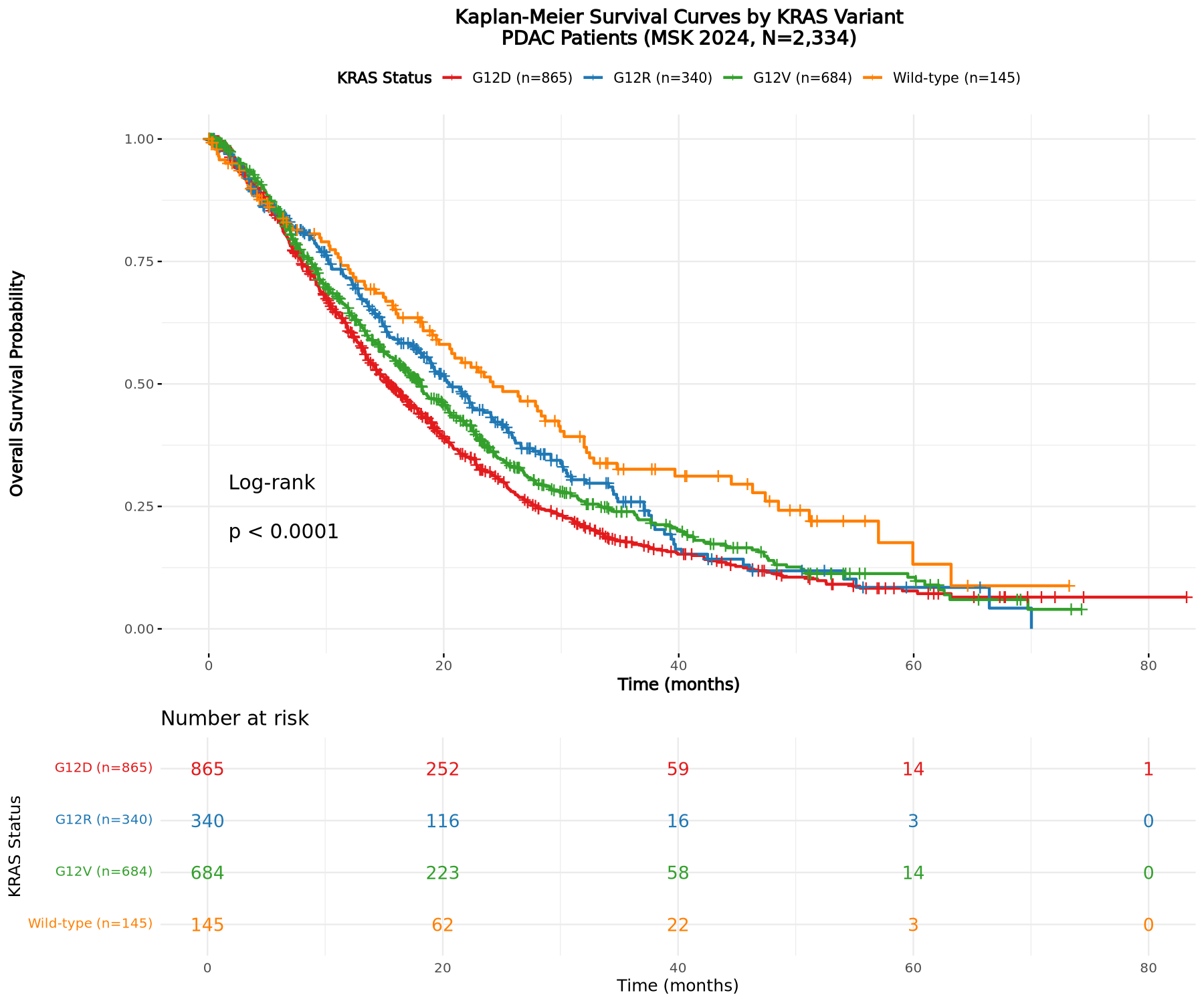 Kaplan–Meier overall-survival curves for KRAS G12D, G12V, G12R, and wild-type PDAC groups