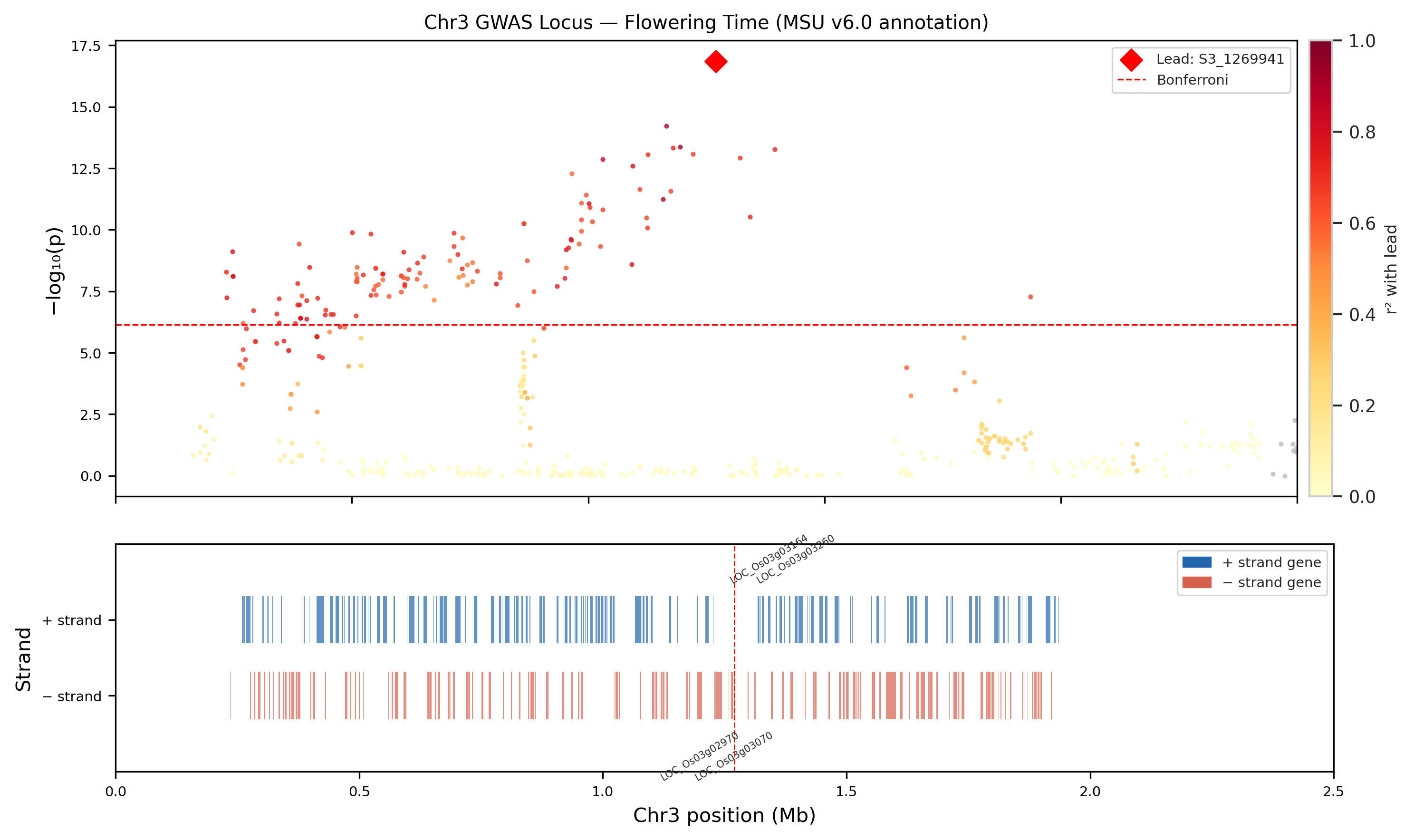 Chromosome 3 regional association colored by LD with the lead SNP, above MSU v6.0 gene models on both strands