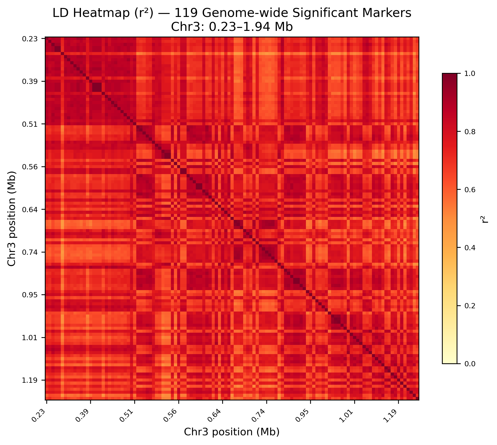 Pairwise LD heatmap for 119 significant chromosome 3 markers