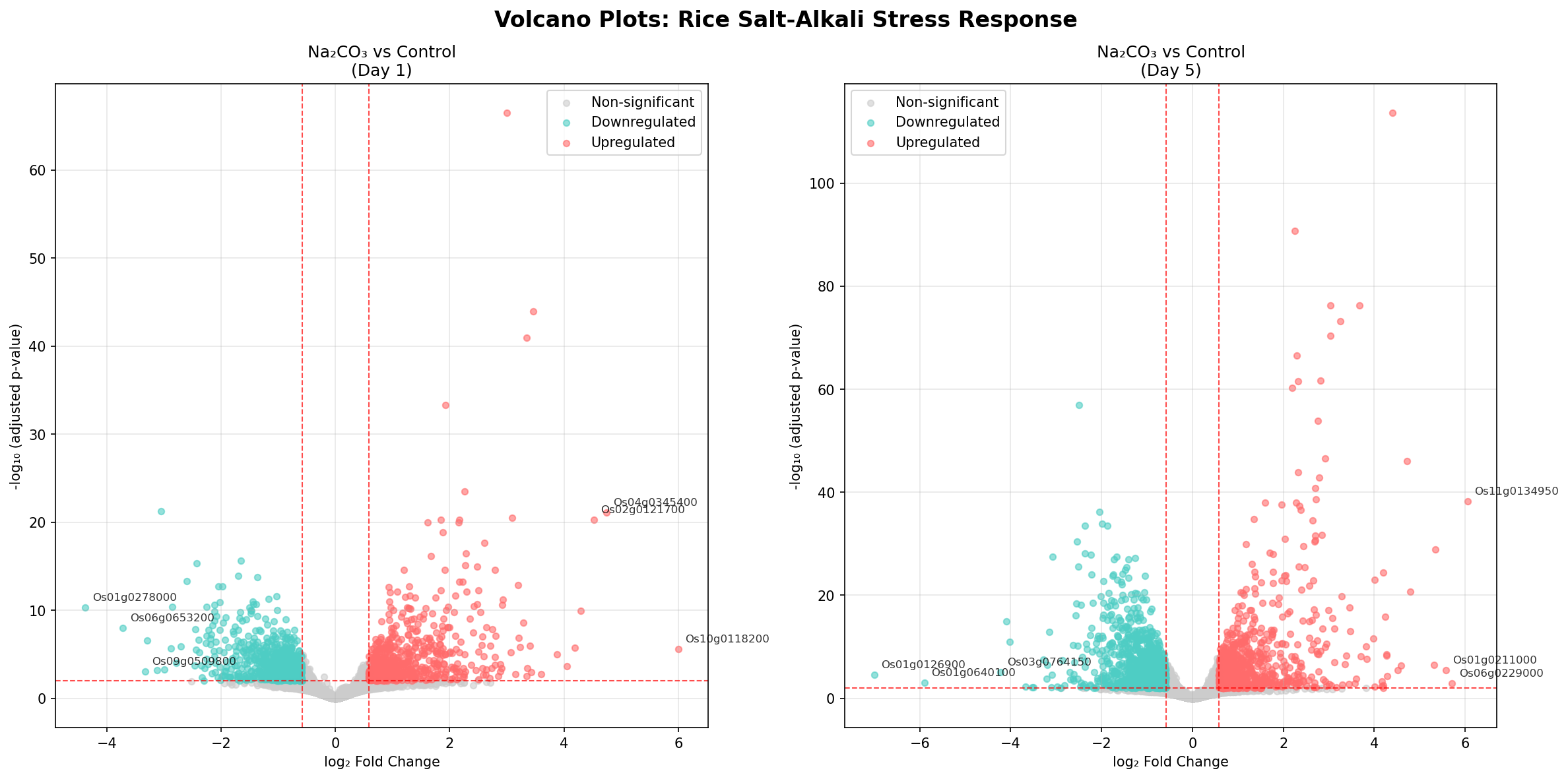 Side-by-side DESeq2 volcano plots for rice salt stress at Day 1 and Day 5