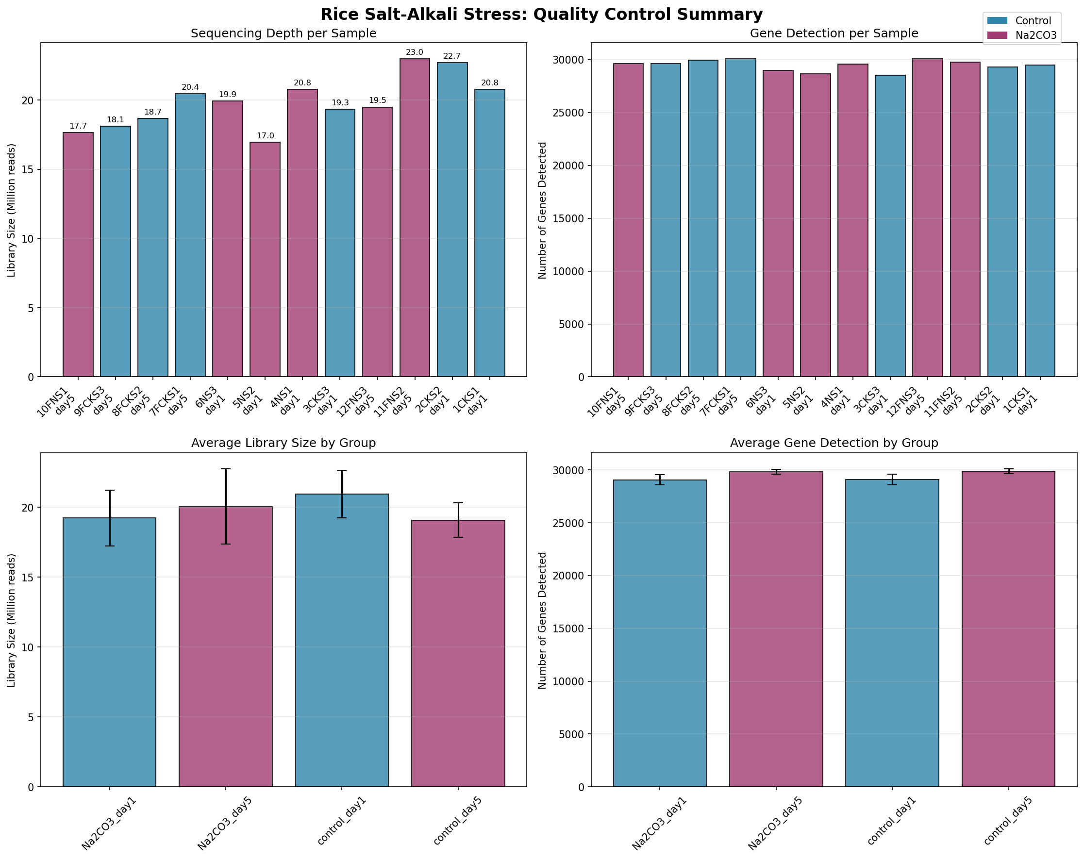 Sequencing depth and detected genes across 12 rice RNA-seq libraries