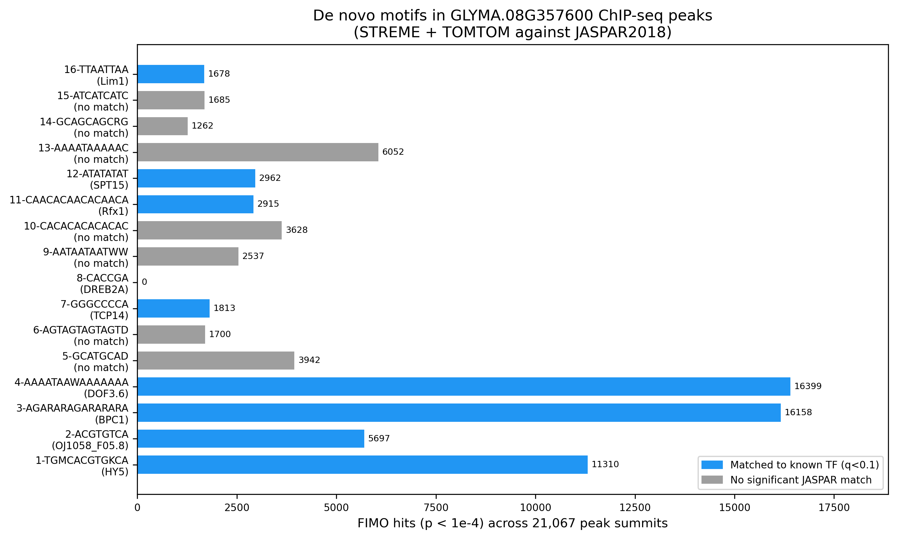 FIMO occurrence counts for 16 de novo motifs found in GLYMA.08G357600 ChIP-seq peak summits