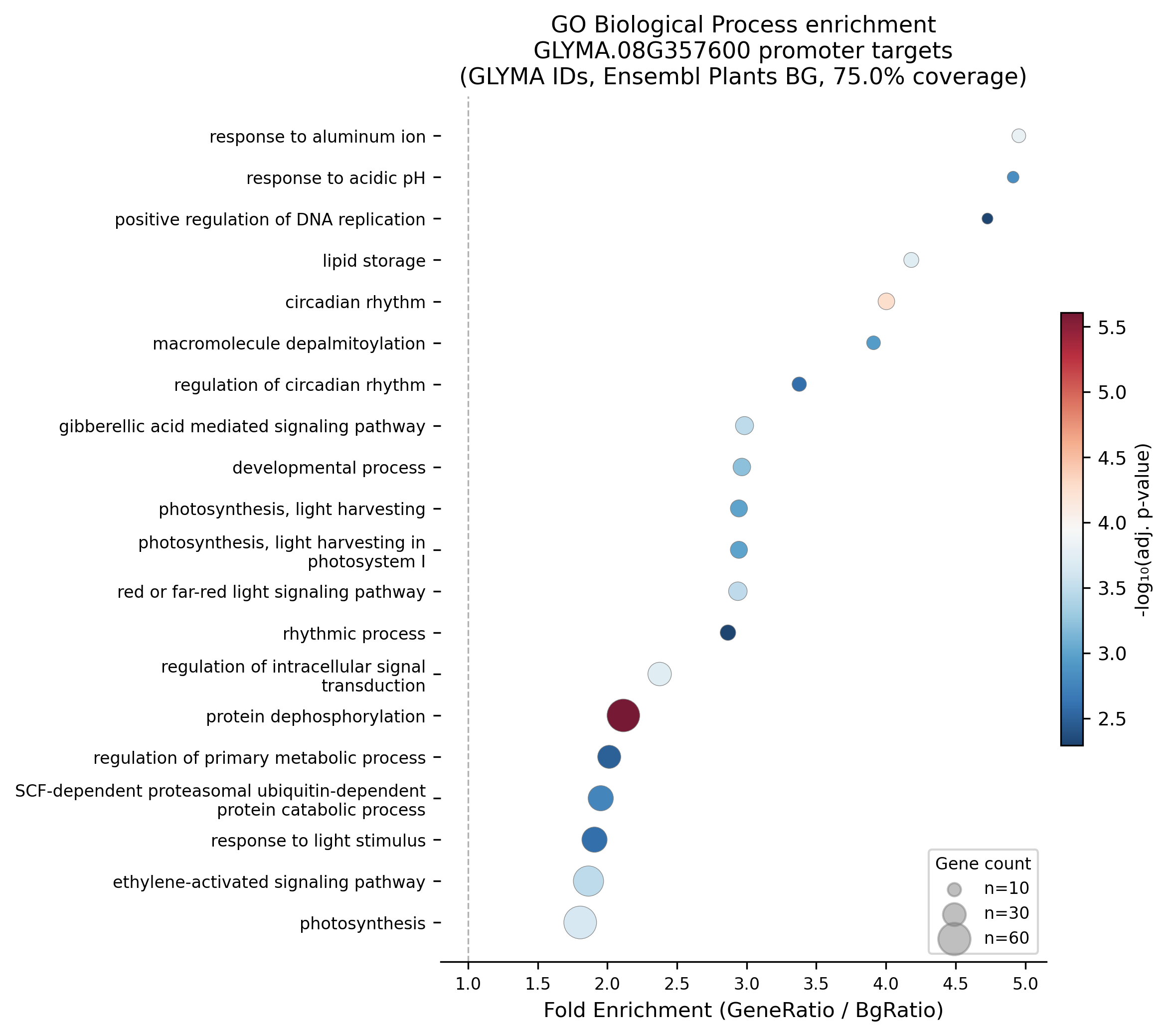 GO Biological Process enrichment dot plot for GLYMA.08G357600 promoter-peak target genes using GLYMA identifiers