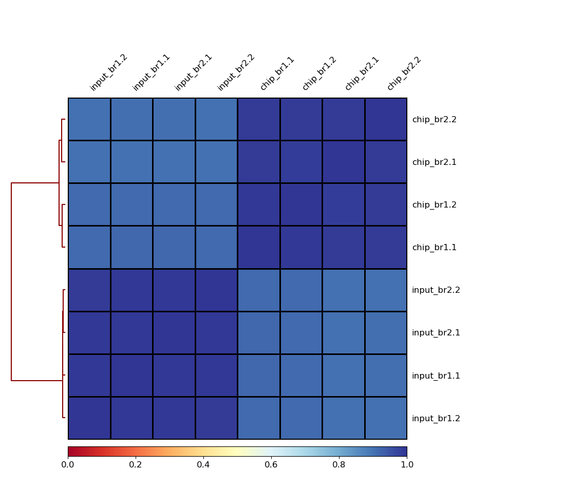 Pearson correlation heatmap clustering four soybean ChIP libraries separately from four matched Input libraries